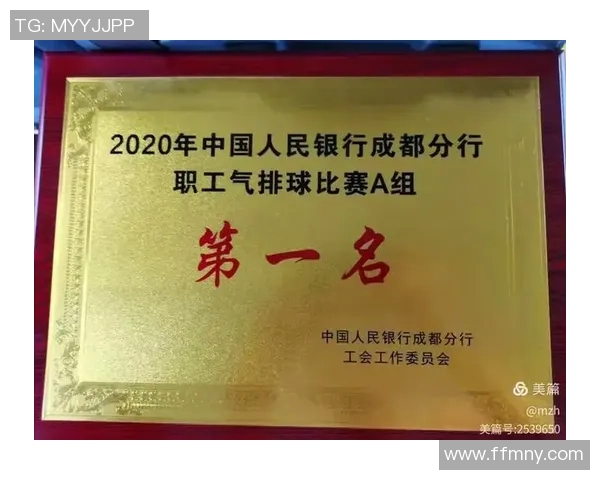 成都排球队实力崛起排球实力排行榜中荣登第九名